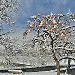 La Rosa Al Roseto Del Drago San Bernardo (Sondrio)
