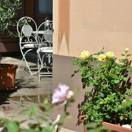 La Rosa Al Roseto Del Drago Nyaraló San Bernardo (Sondrio)
