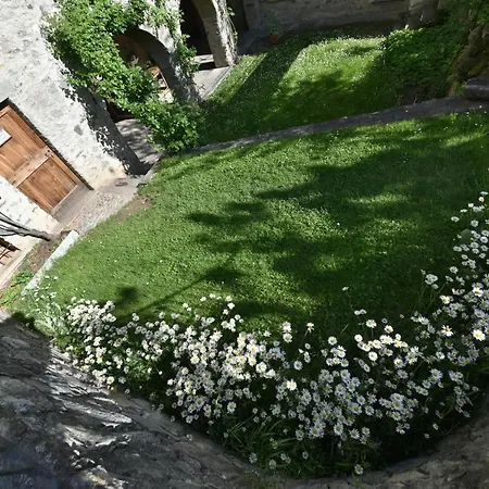 La Rosa Al Roseto Del Drago San Bernardo (Sondrio)