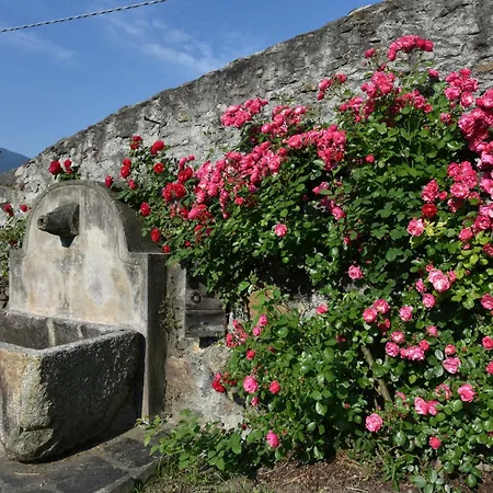La Rosa Al Roseto Del Drago Σπίτι διακοπών *