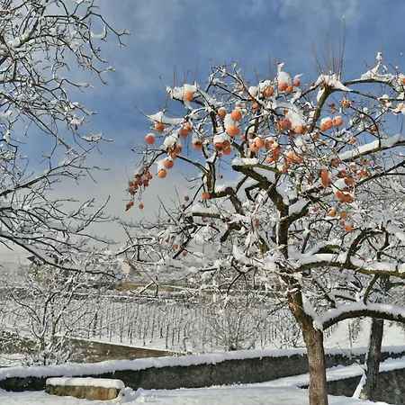 La Rosa Al Roseto Del Drago San Bernardo (Sondrio)